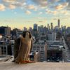 Behold, The Soul-Stirring Peregrine Falcon Who Watches Over Us All